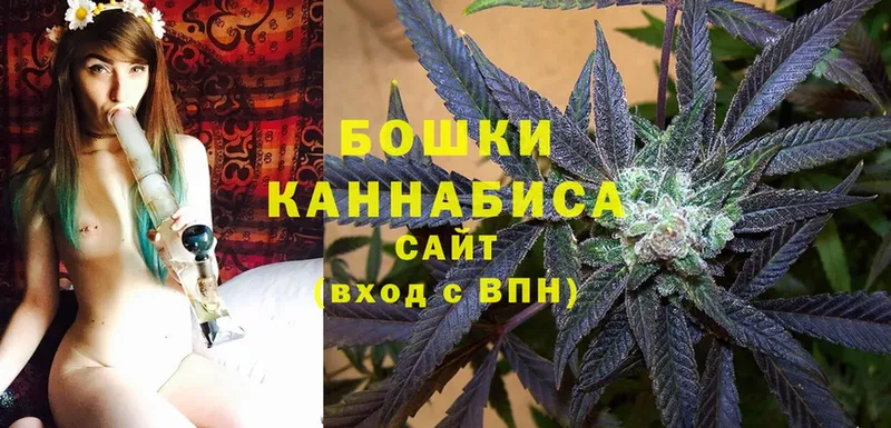 МАРИХУАНА SATIVA & INDICA  Руза 